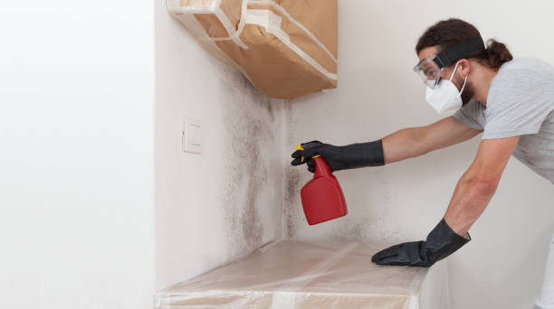 Professional Bathroom Mold Removal technician working in Newton, NJ