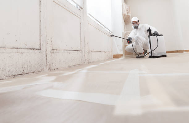 24/7 Emergency Bathroom Mold Removal experts in Newton, NJ